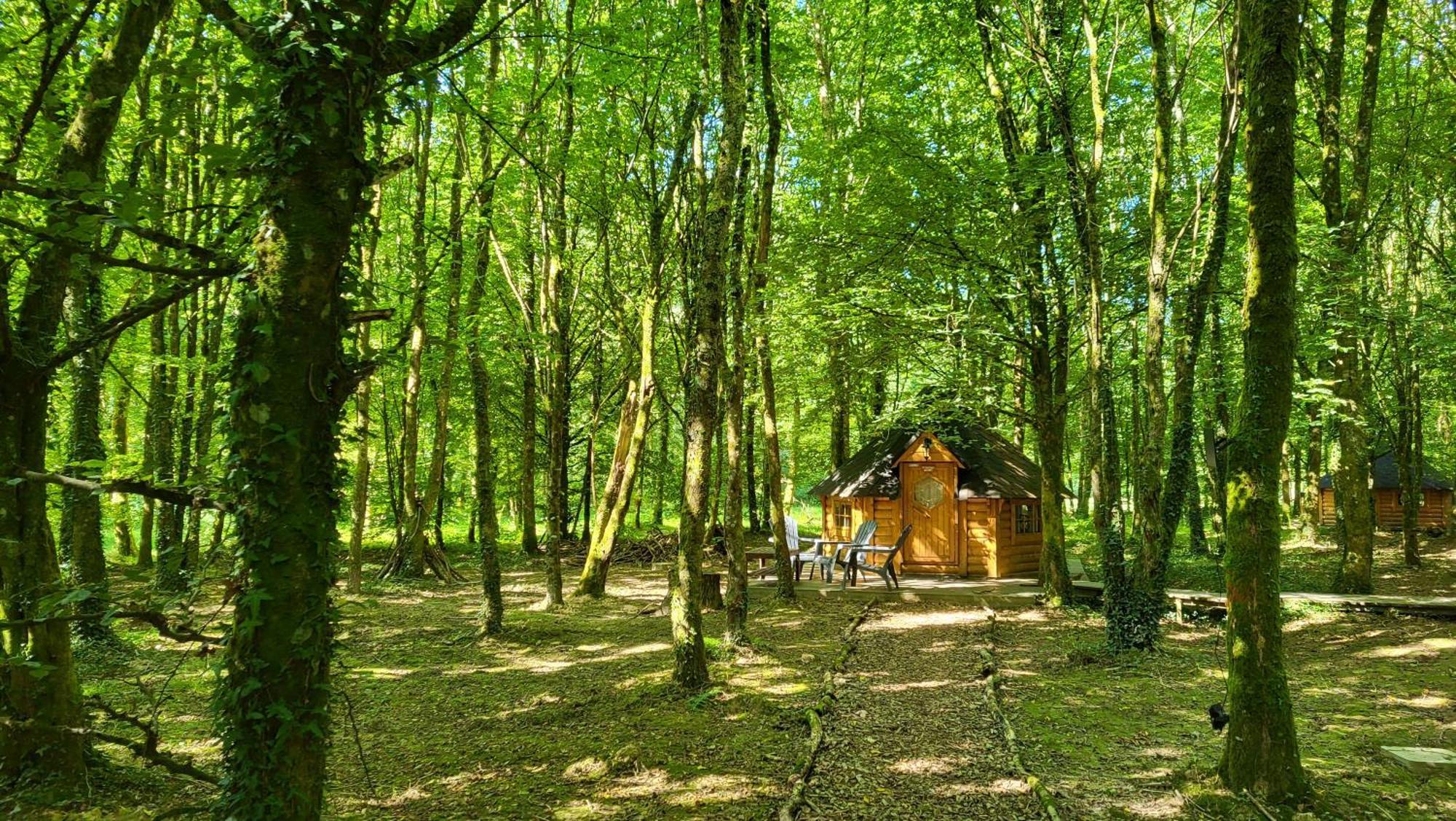 Le Domaine Insolite De Broceliande Paimpont Dış mekan fotoğraf